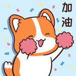 柯基小甜甜          