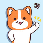 柯基小甜甜          