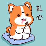 柯基小甜甜          