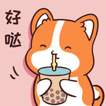 柯基小甜甜          