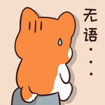 柯基小甜甜          