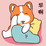 柯基小甜甜          