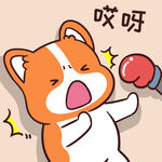 柯基小甜甜          