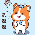 柯基小甜甜          