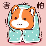 柯基小甜甜          