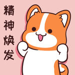 柯基小甜甜          