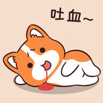 柯基小甜甜          