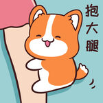 柯基小甜甜          