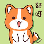 柯基小甜甜          