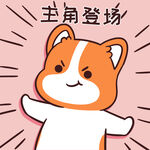 柯基小甜甜          