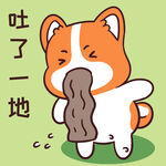 柯基小甜甜          