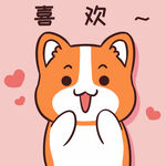 柯基小甜甜          