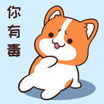 柯基小甜甜          