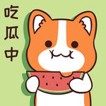 柯基小甜甜          