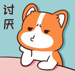 柯基小甜甜