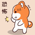 柯基小甜甜 