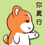 柯基小甜甜