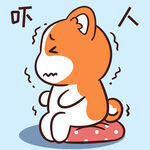 柯基小甜甜