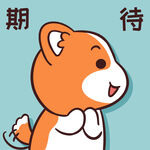柯基小甜甜  