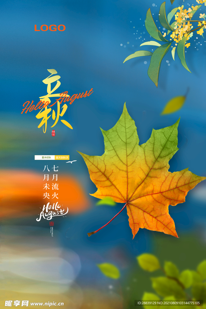 立秋节气海报