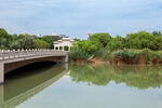 阅海湾水上公园 公园湖景