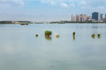 阅海湾水上公园 公园湖景