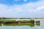 阅海湾水上公园 公园湖景