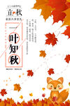 一叶知秋