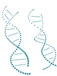 基因链  科技感 几何形状
