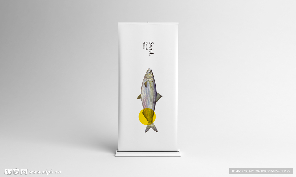 鱼主题样机