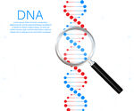 DNA链基因科技插画