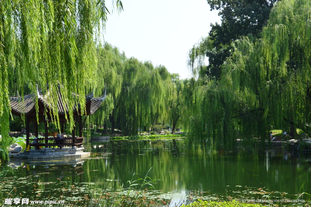 园林风景
