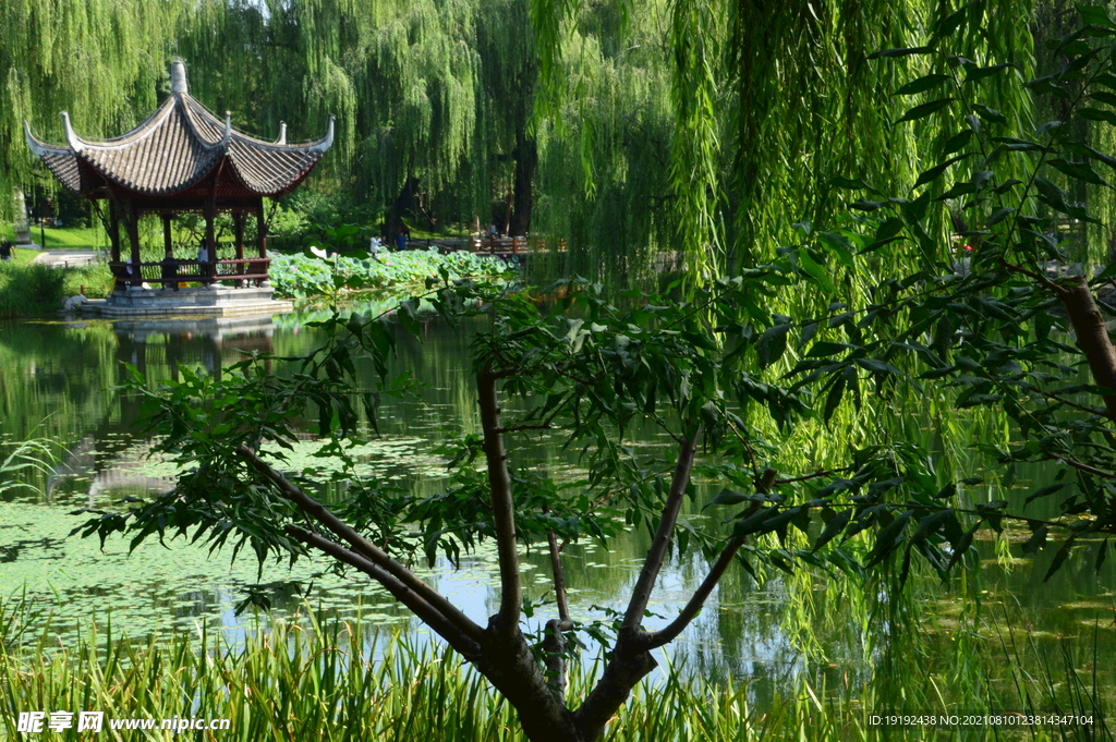 园林风景