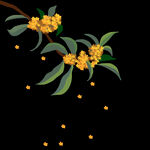中秋桂花元素