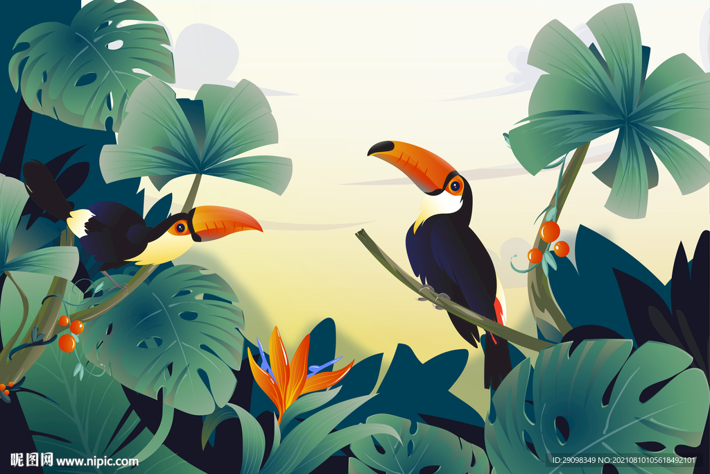 热带雨林大嘴鸟