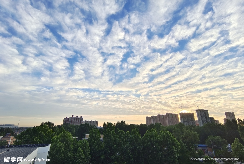 风景
