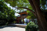 白塔山公园