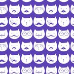 猫底纹