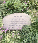 碑刻简介