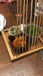 开胃小菜