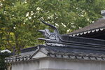 屋檐