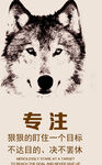 专注