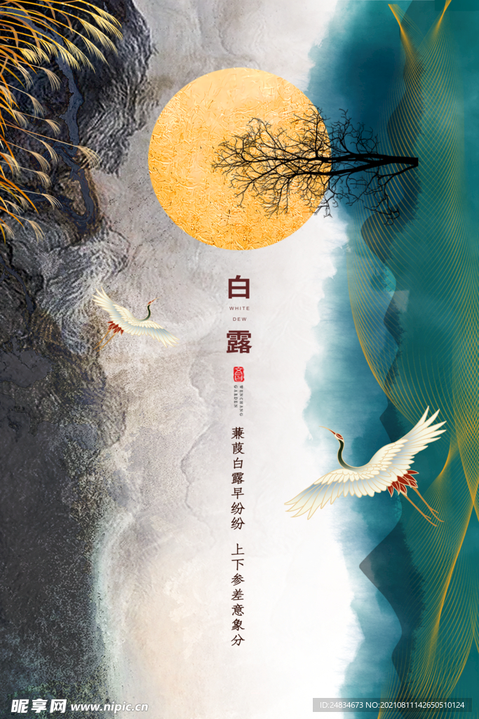 白露