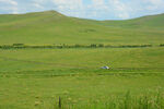 内蒙古乌拉盖草原