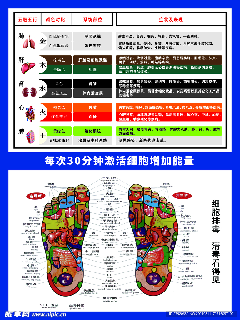 中科氢量海报30分钟细胞激活