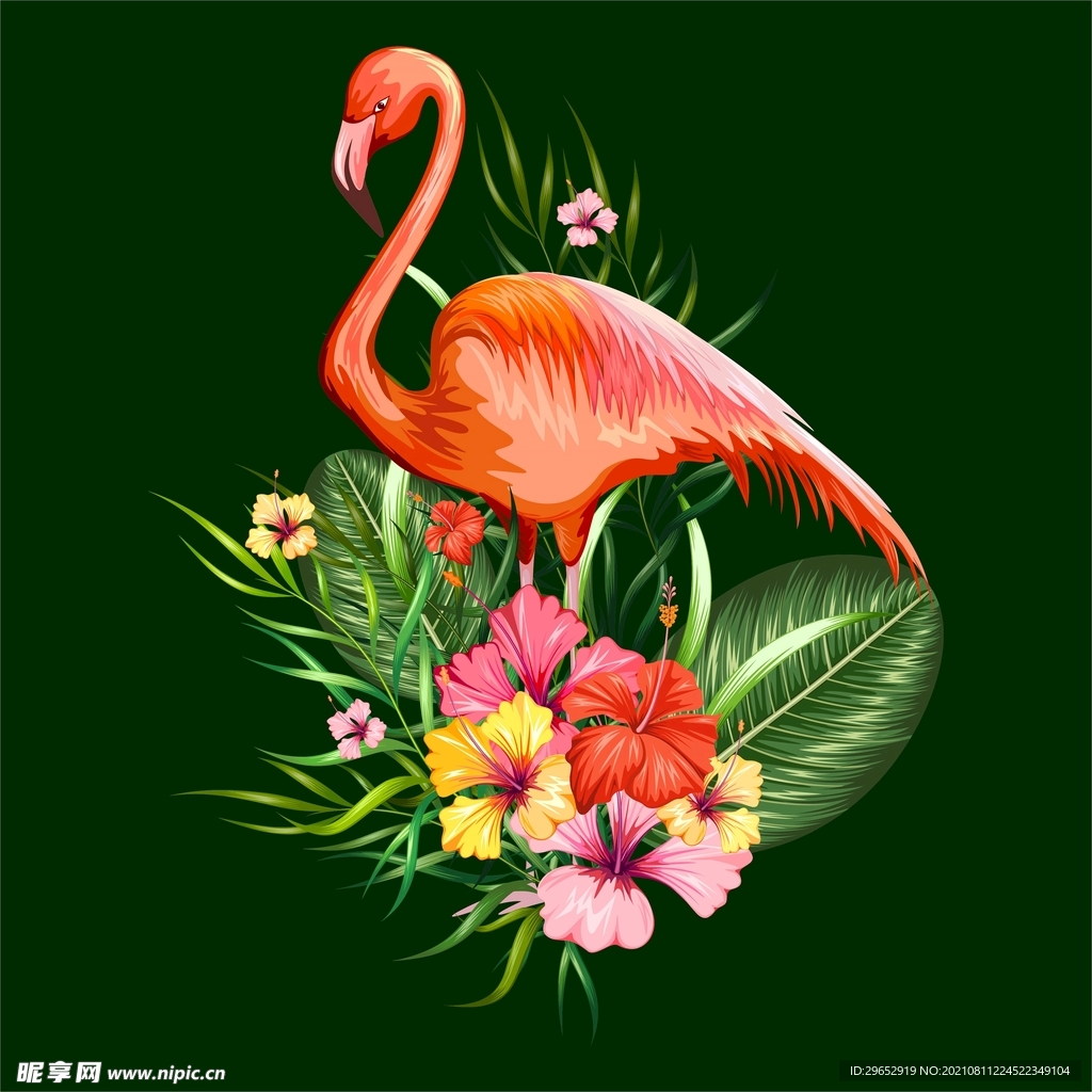 火烈鸟