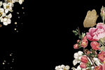 花 蝴蝶 PNG 免抠图