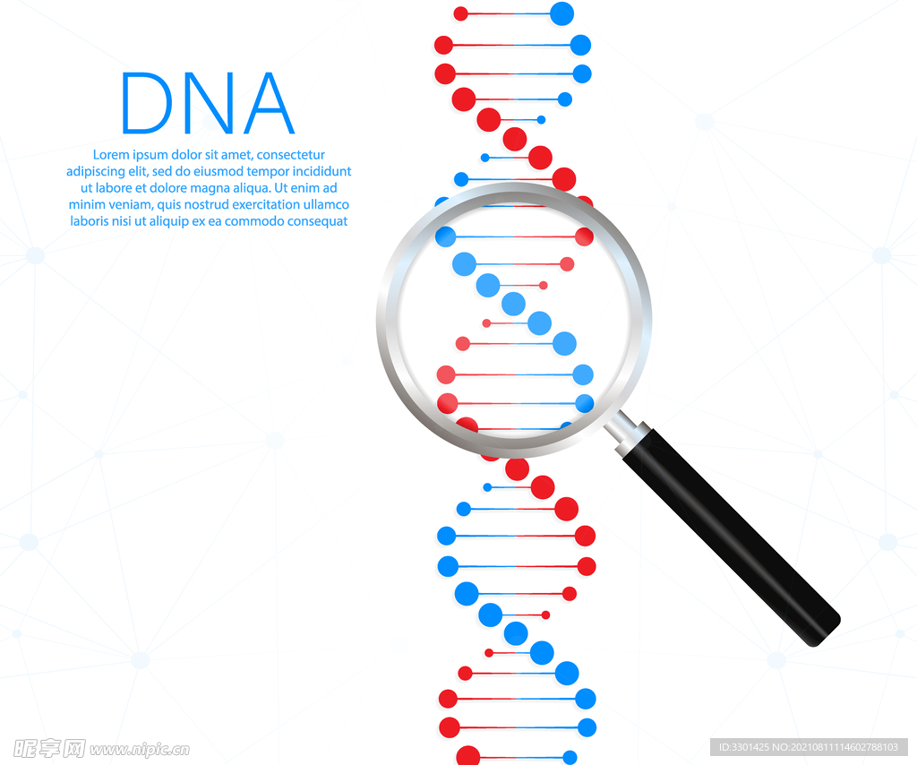 DNA链条 