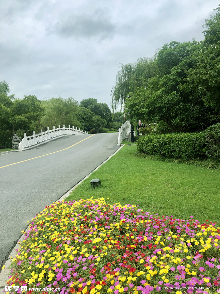 路边风景 