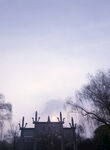 西湖美景 
